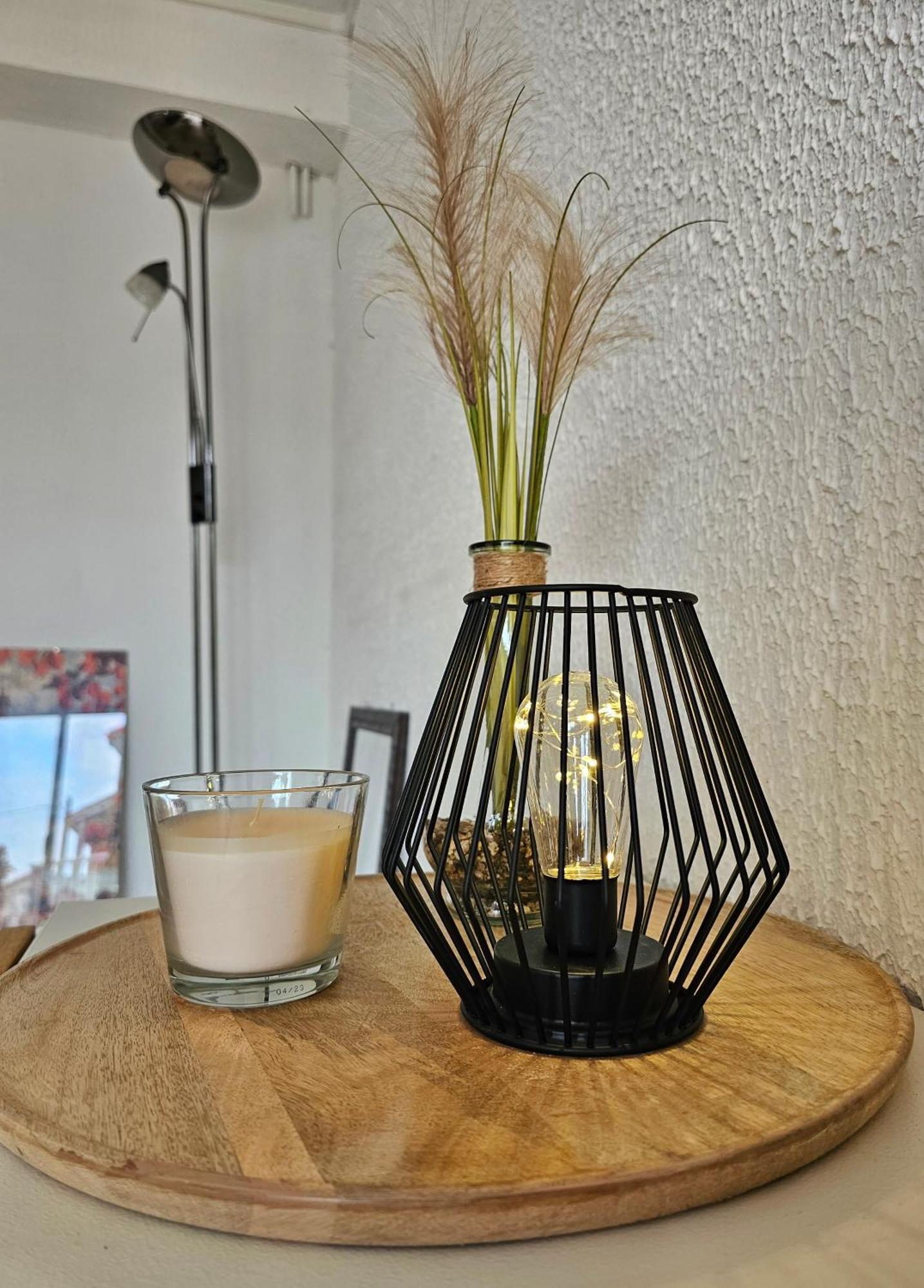 Appartement Lumineux Et Calme En Rez-De-Jardin Castanet-Tolosan Εξωτερικό φωτογραφία