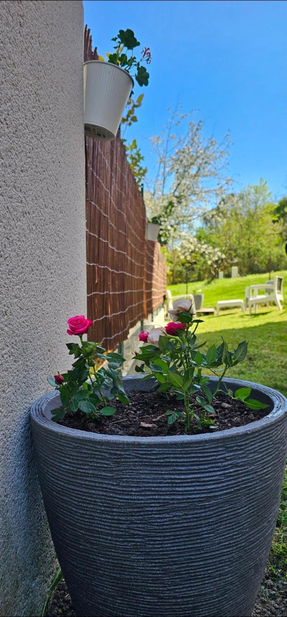 Appartement Lumineux Et Calme En Rez-De-Jardin Castanet-Tolosan Εξωτερικό φωτογραφία